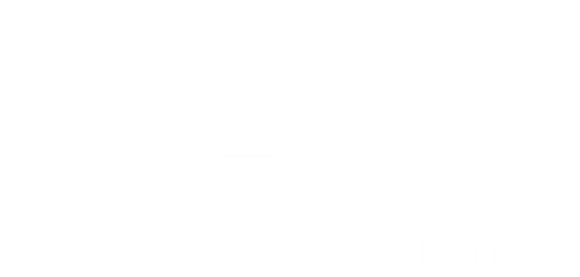 SAM - skills of professionals